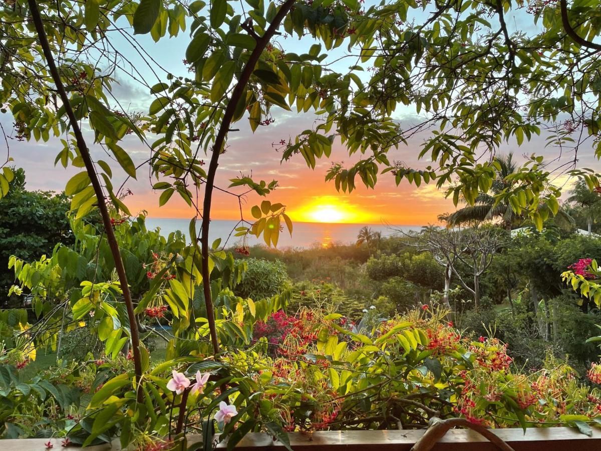 Villa Nature Caraibe Lodge, Vue Mer, Piscine Privee Deshaies Exteriér fotografie
