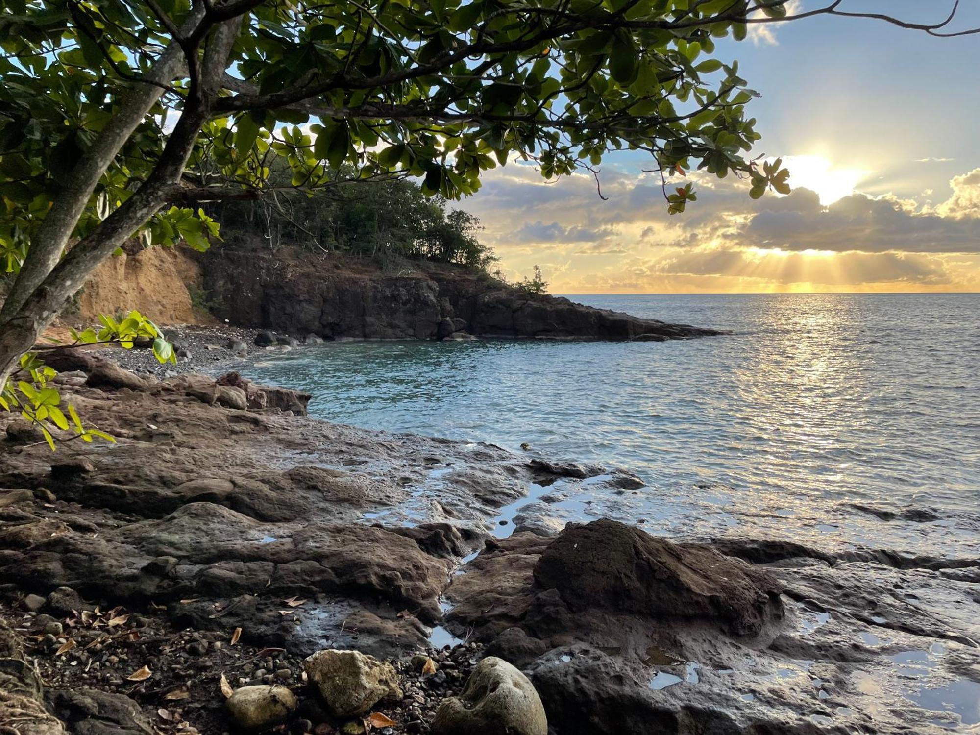 Villa Nature Caraibe Lodge, Vue Mer, Piscine Privee Deshaies Exteriér fotografie